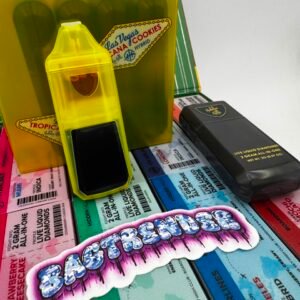 Hidden Hills Disposable 2G