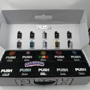 Push 2G Disposable With Screen