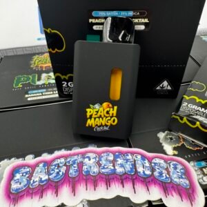 Push 2G Disposable With Screen