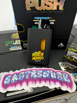 Push 2G Disposable With Screen