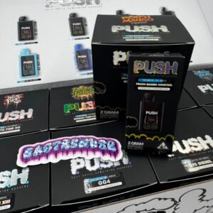 Push 2G Disposable With Screen