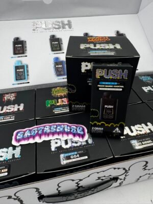 Push 2G Disposable With Screen