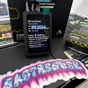 Push 2G Disposable With Screen