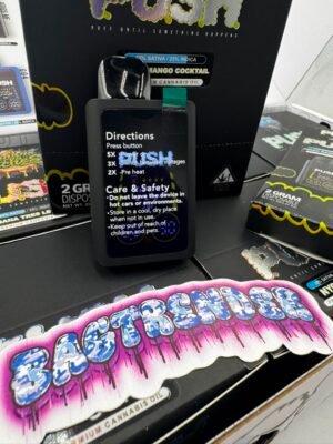 Push 2G Disposable With Screen