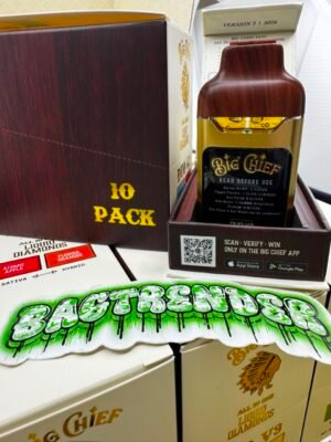 big chief duo v3 2g disposable 10 big chief duo v3 2g disposable